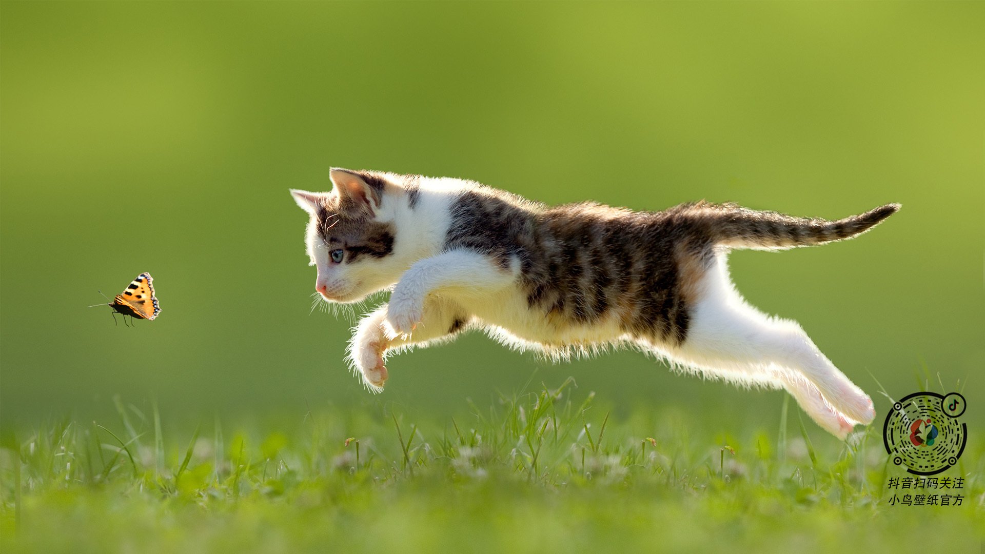 篮球专项技能动作捕捉技术的进展与展望,篮球动作技术分析