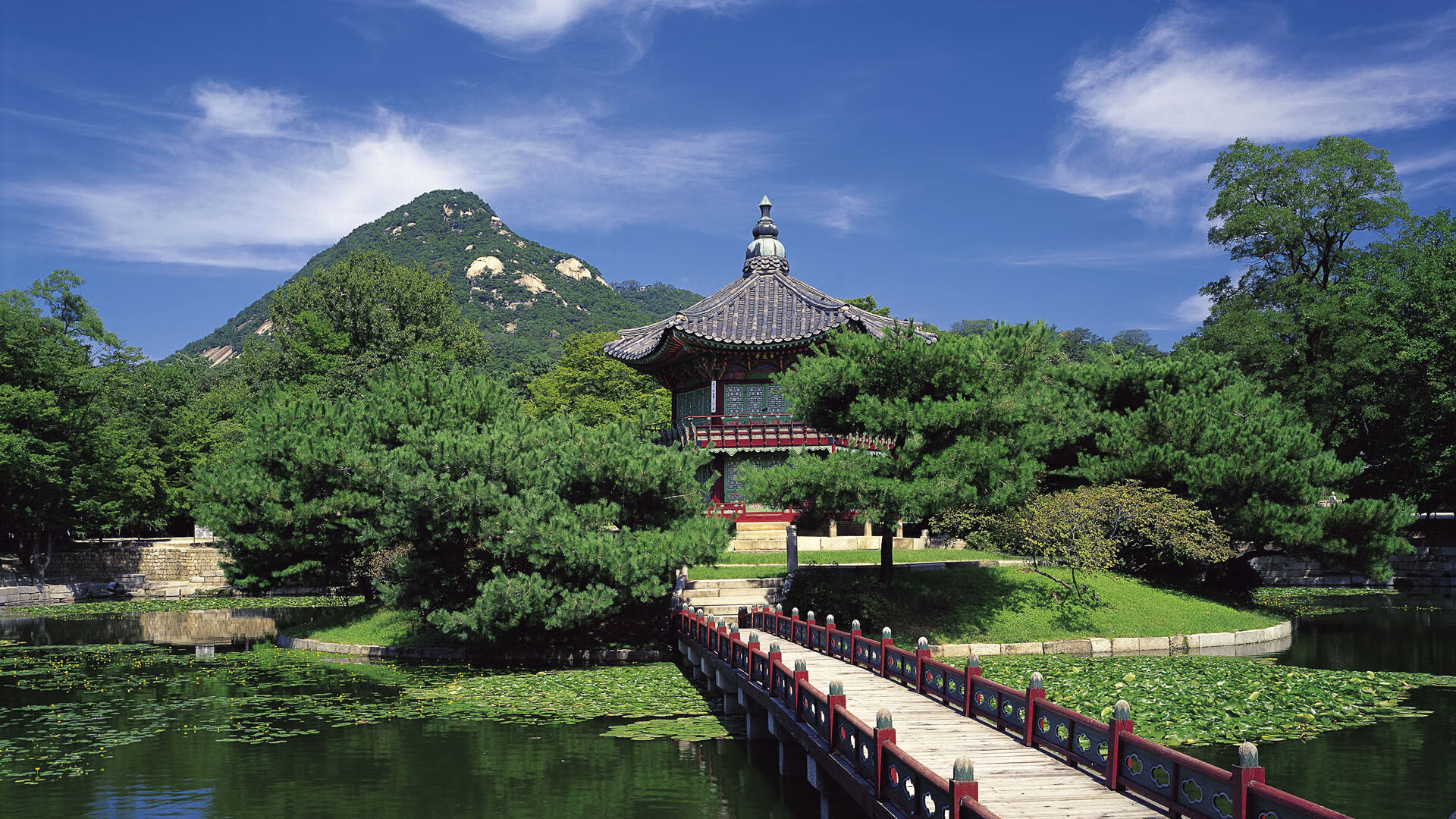 赛季中期总结：谁是五大联赛的最大黑马？，五大联赛最强队