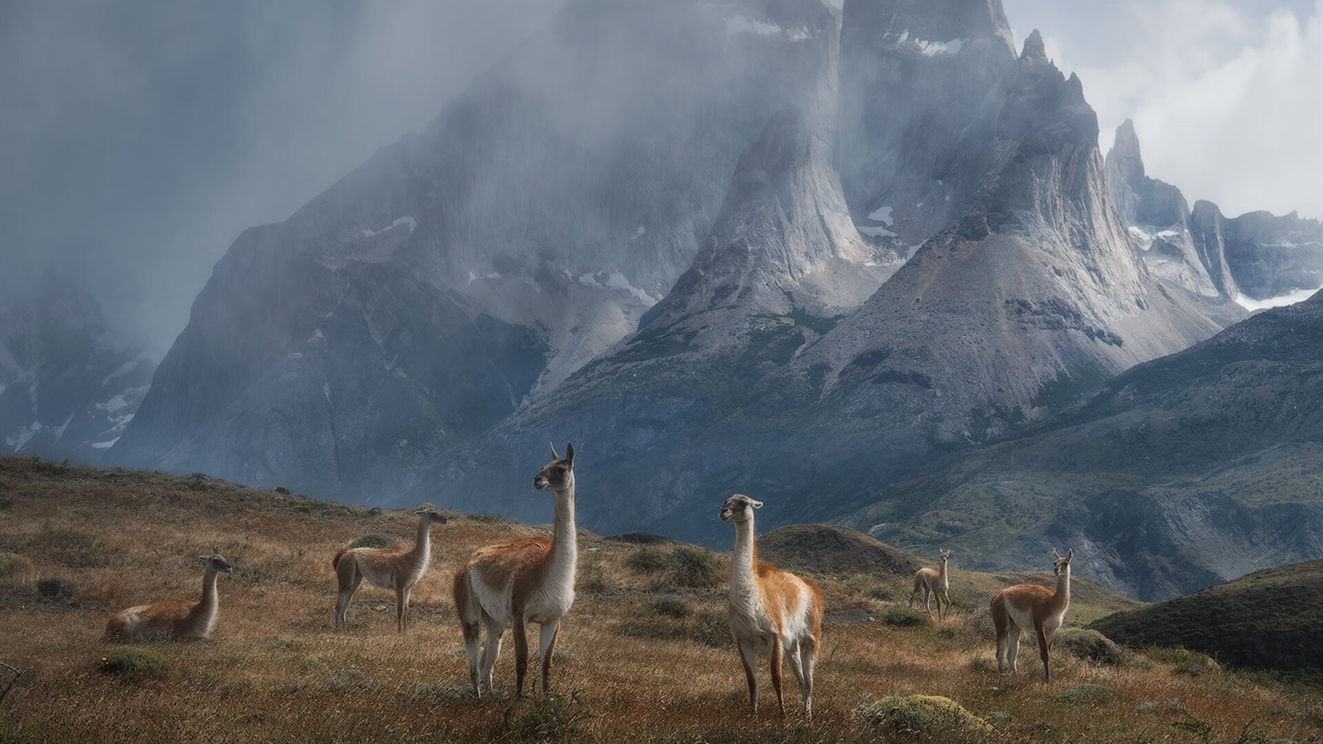 中国男篮提高阵容深度提升比赛应变能力,中国男篮训练强度