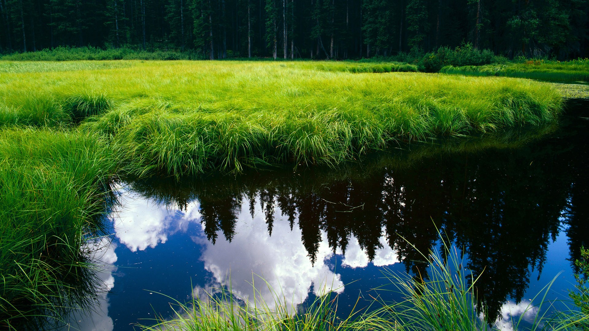 体育产业数字化转型趋势，体育数字化转型存在的问题