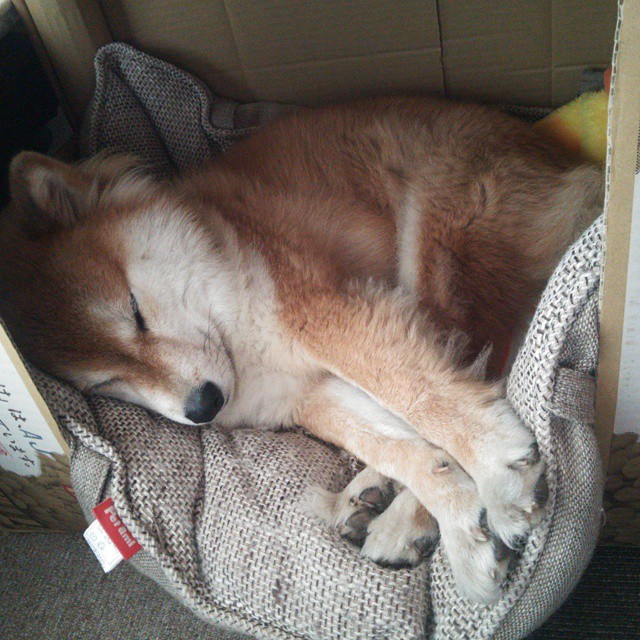 华体会app安装-恩多比·恩乔展现冷静与精准，成南非队进攻中的关键球员，多恩比纳