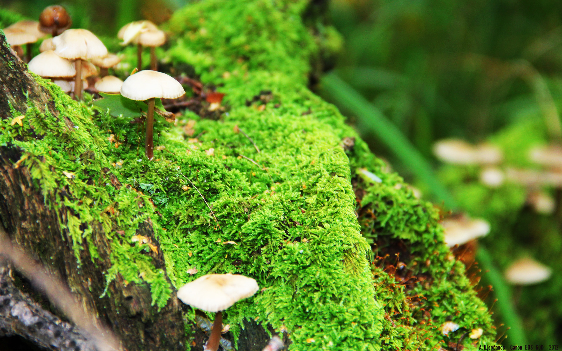 校园足球搭建学生战术论坛提升互动与学习氛围,大学足球战术