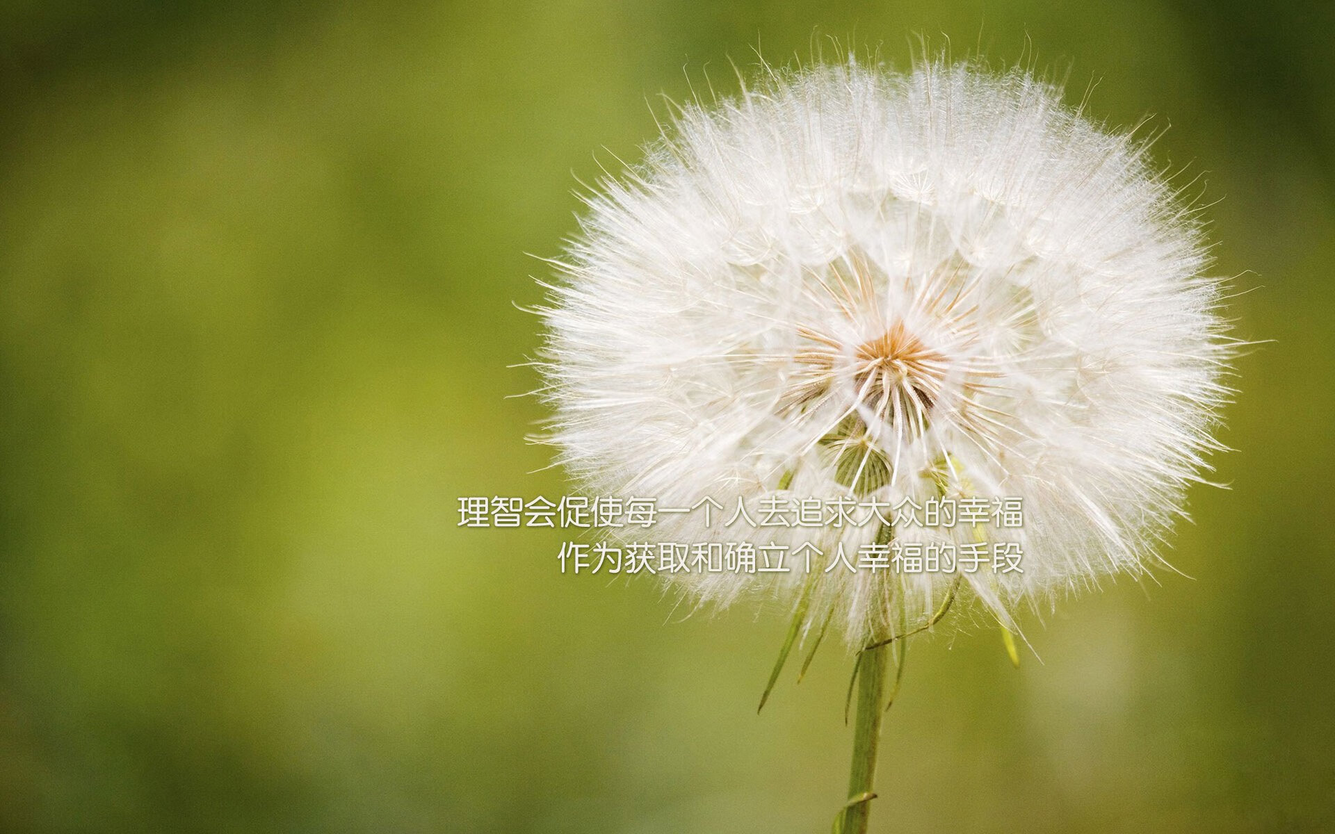 胡贝特·科斯决赛发挥超出预期,胡安贝坦科特