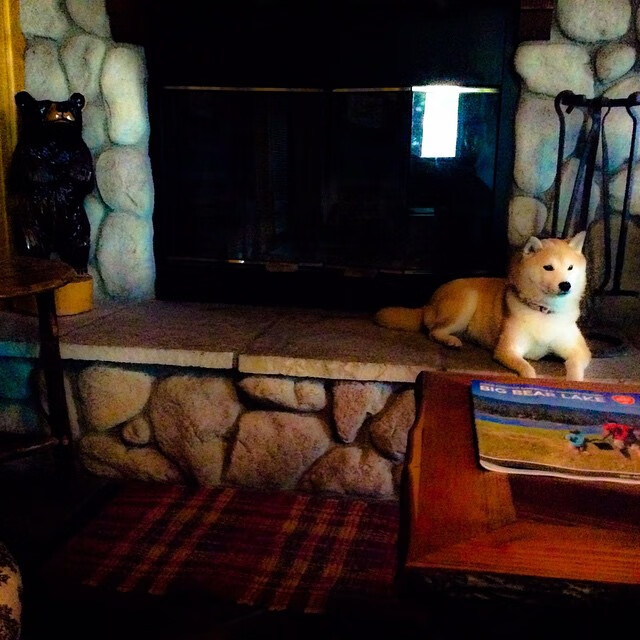 华体会登录-荷兰队在欧洲预赛中表现出色，晋级希望巨大