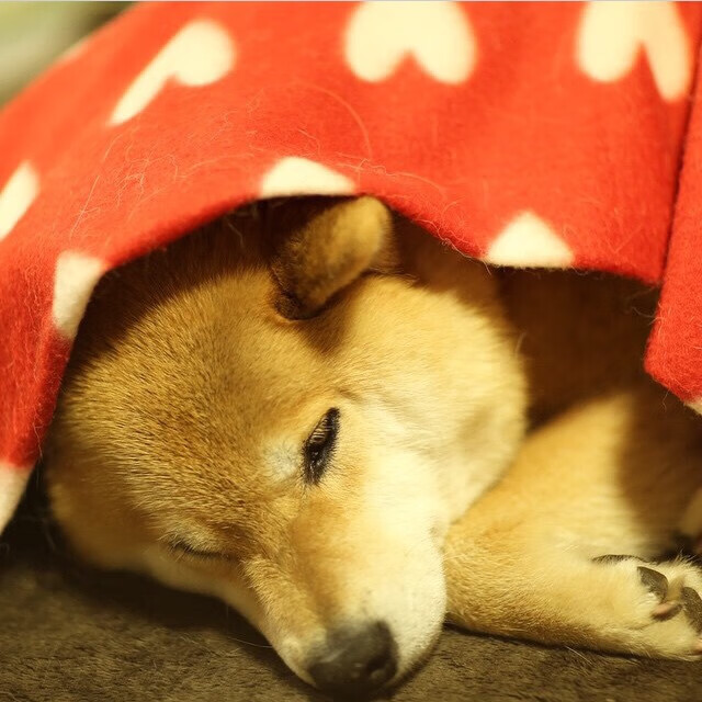 中国足球职业联赛品牌形象塑造加速,我国职业足球联赛